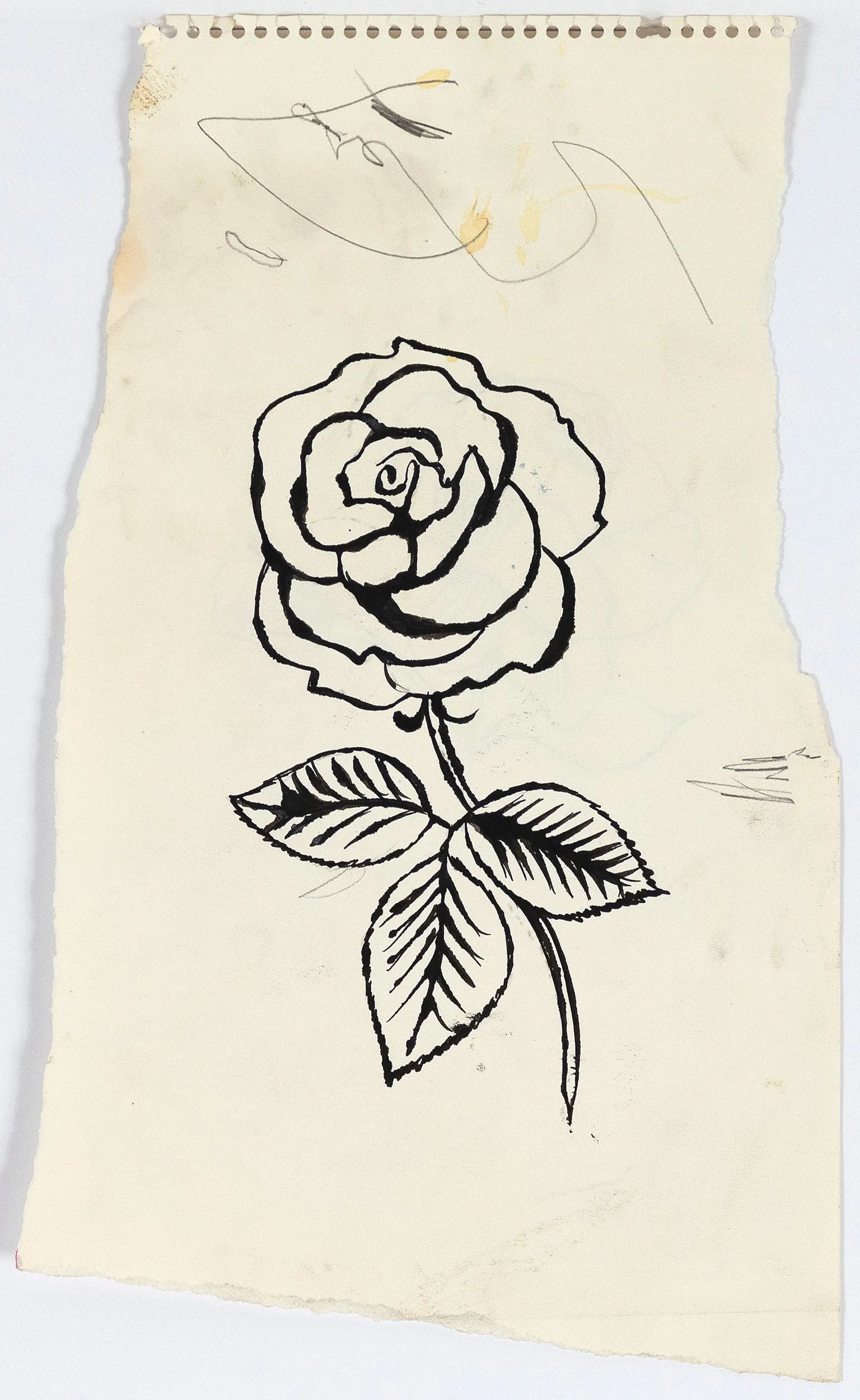 ANDY WARHOL "DOUBLE ROSE" DRAWING, 1954