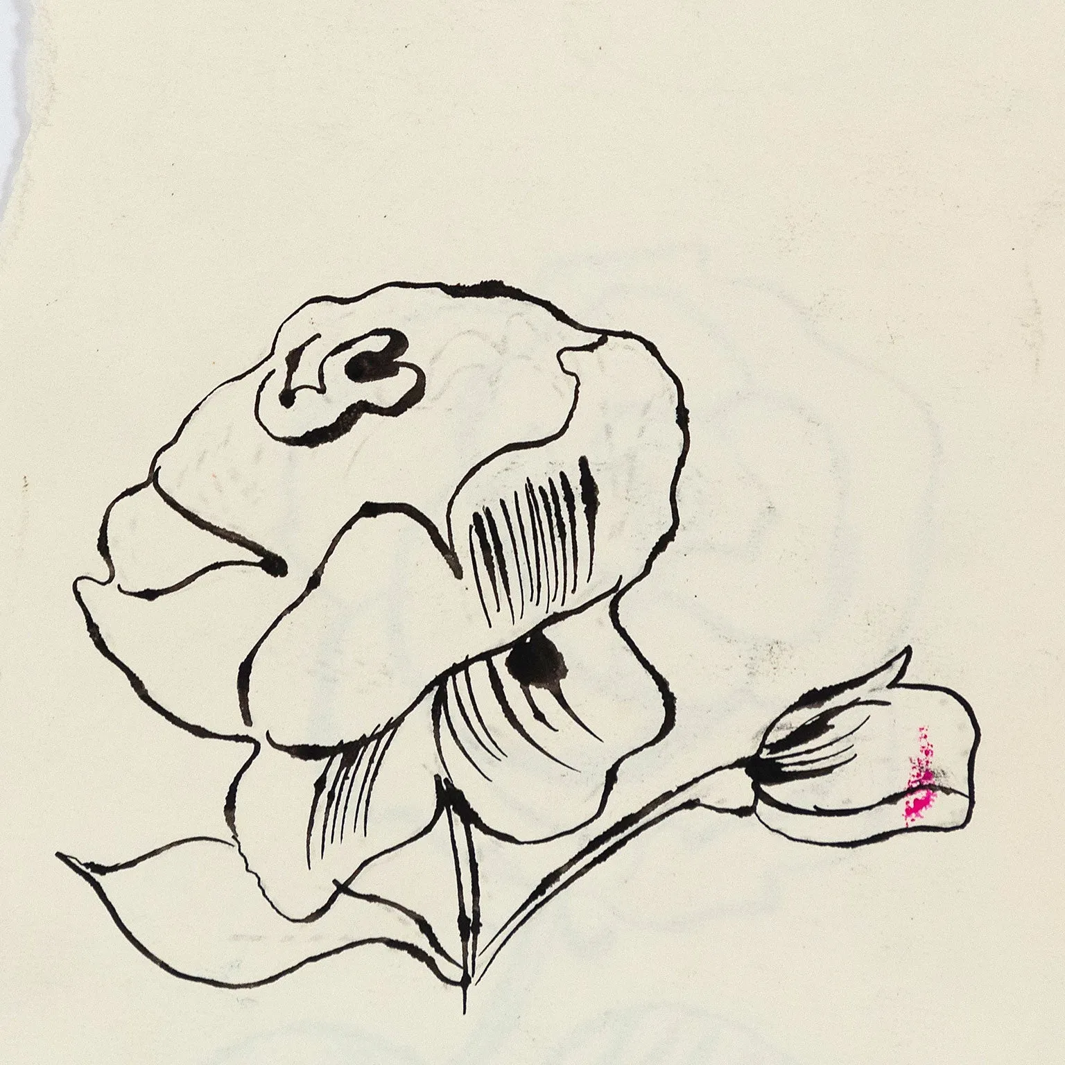 ANDY WARHOL "DOUBLE ROSE" DRAWING, 1954