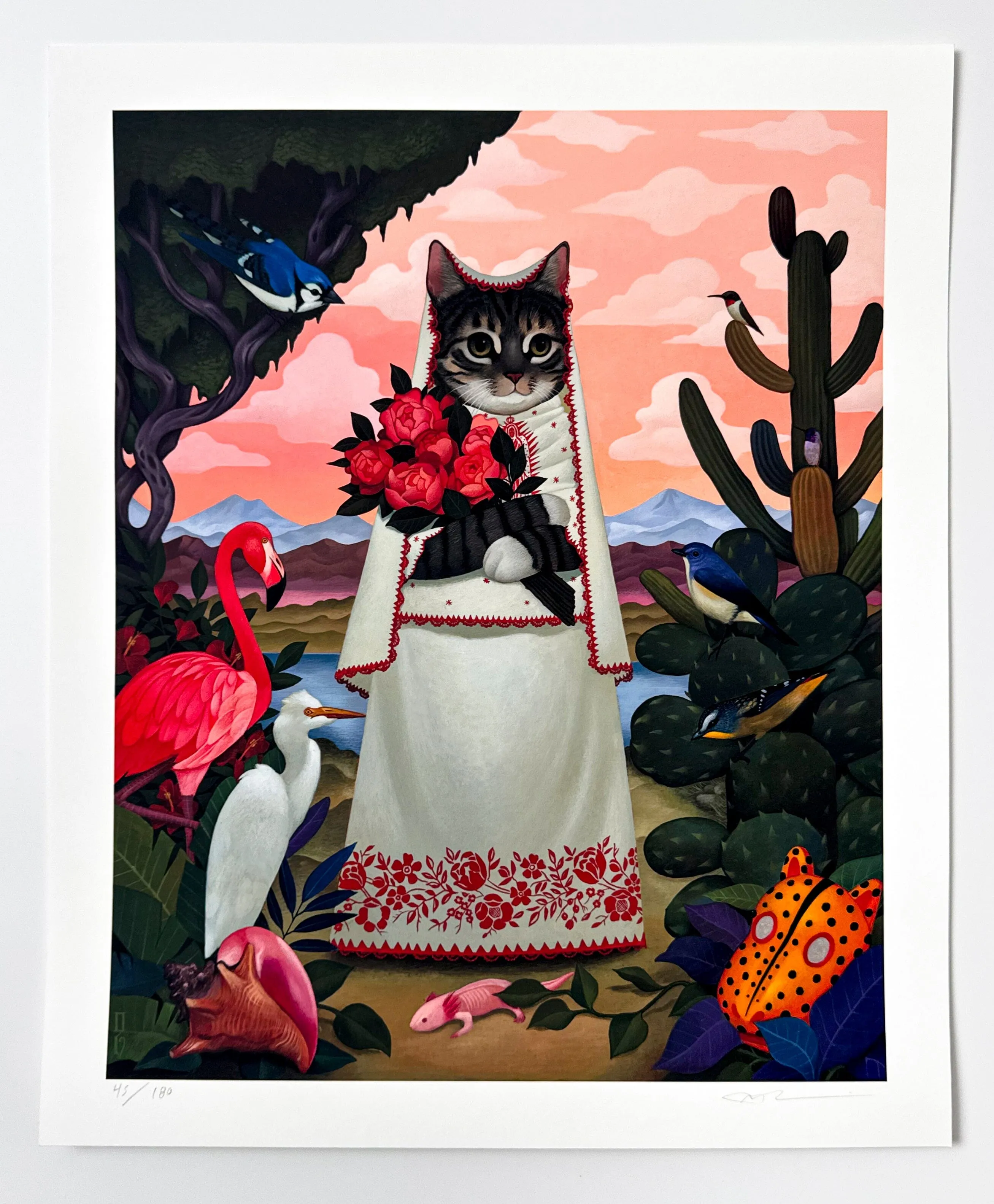 Gatita Del Valle