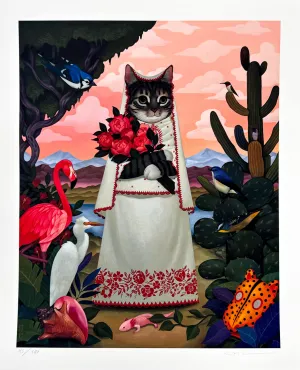 Gatita Del Valle