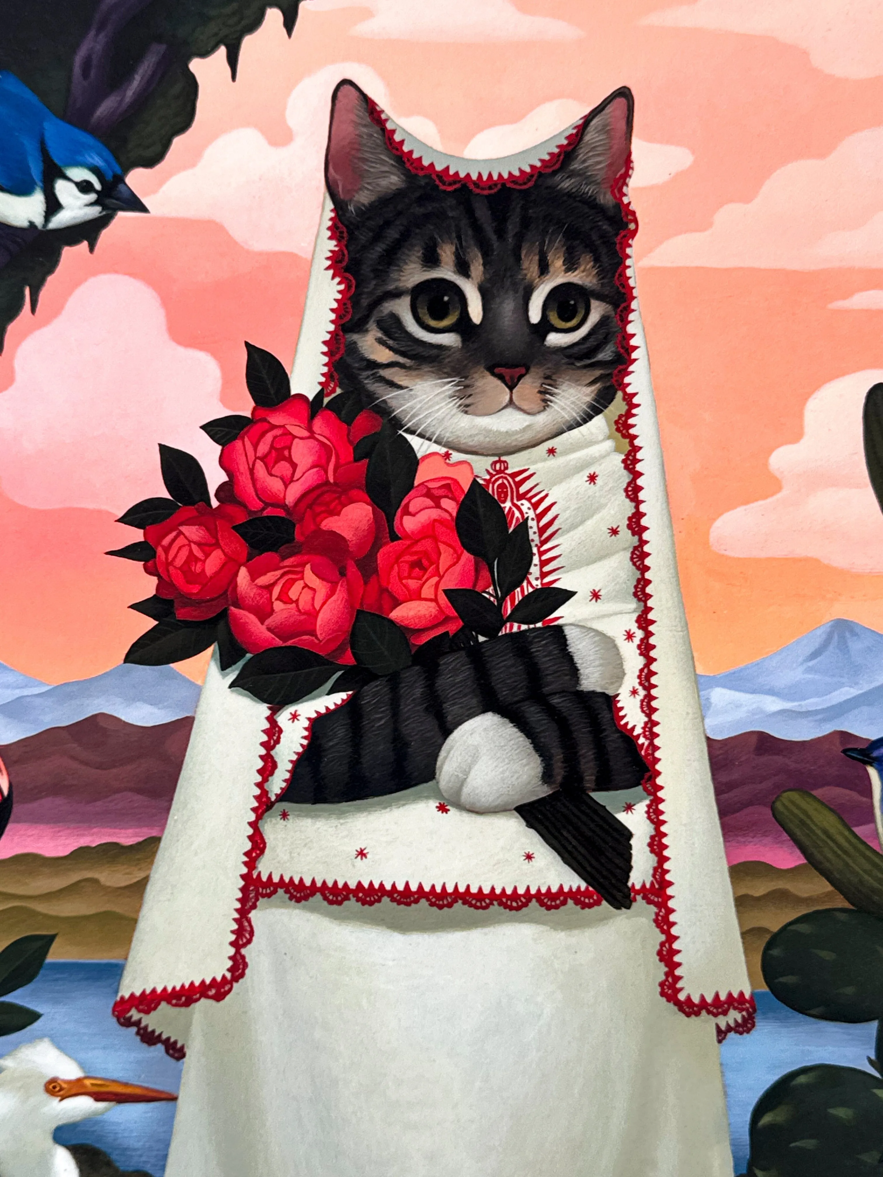 Gatita Del Valle