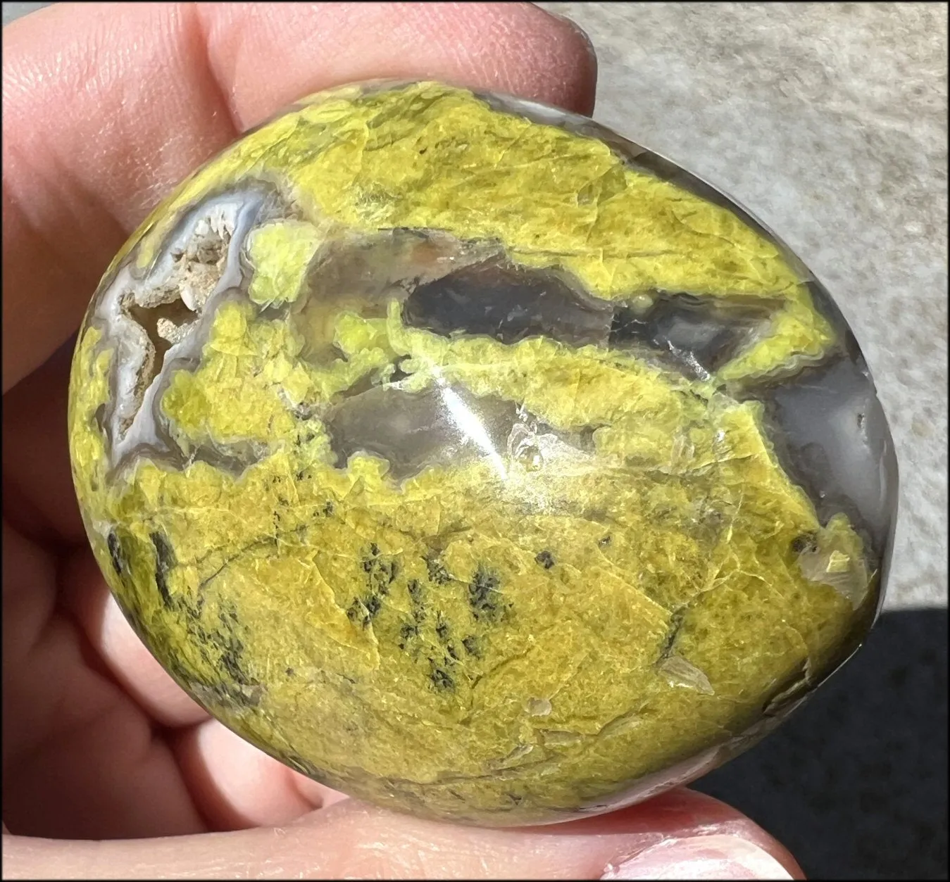 Madagascar Dark GREEN OPAL   CHALCEDONY Palm Stone with Awesome VUGS!