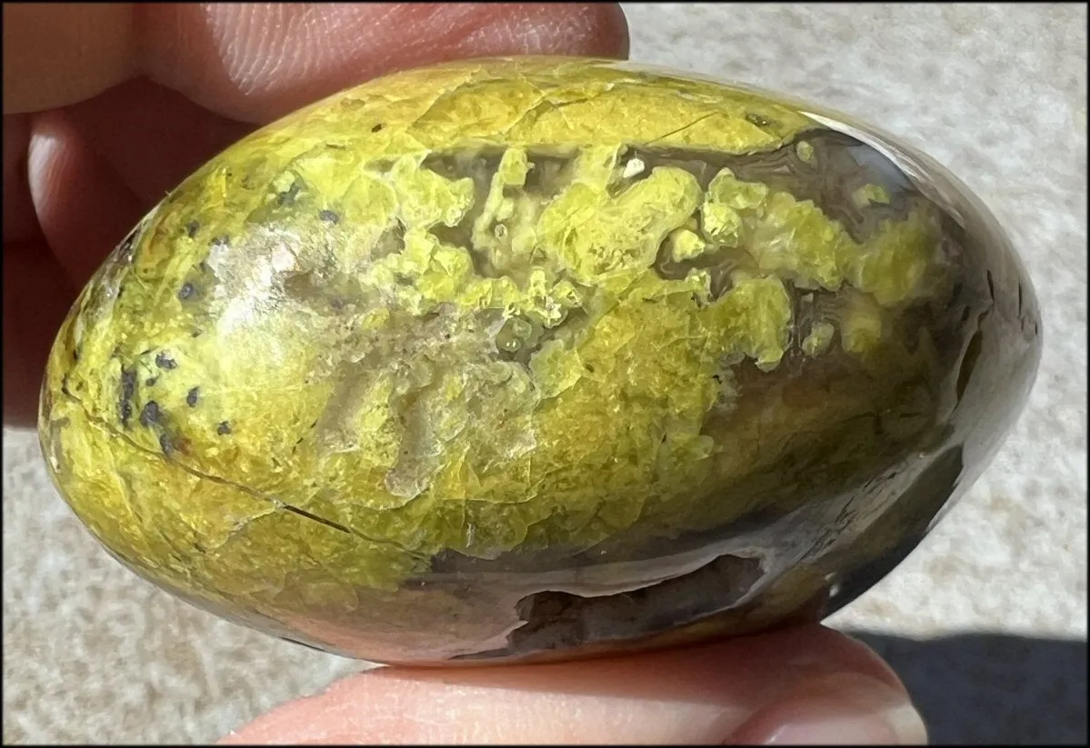 Madagascar Dark GREEN OPAL   CHALCEDONY Palm Stone with Awesome VUGS!