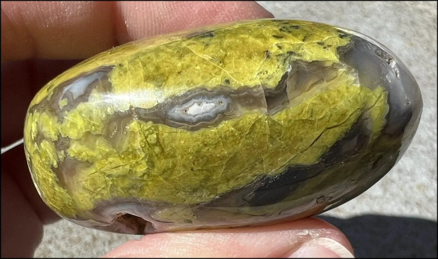 Madagascar Dark GREEN OPAL   CHALCEDONY Palm Stone with Awesome VUGS!
