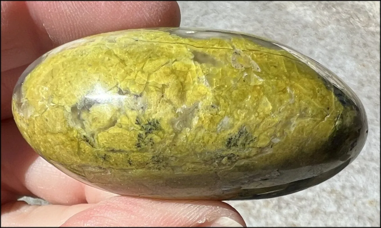 Madagascar Dark GREEN OPAL   CHALCEDONY Palm Stone with Awesome VUGS!