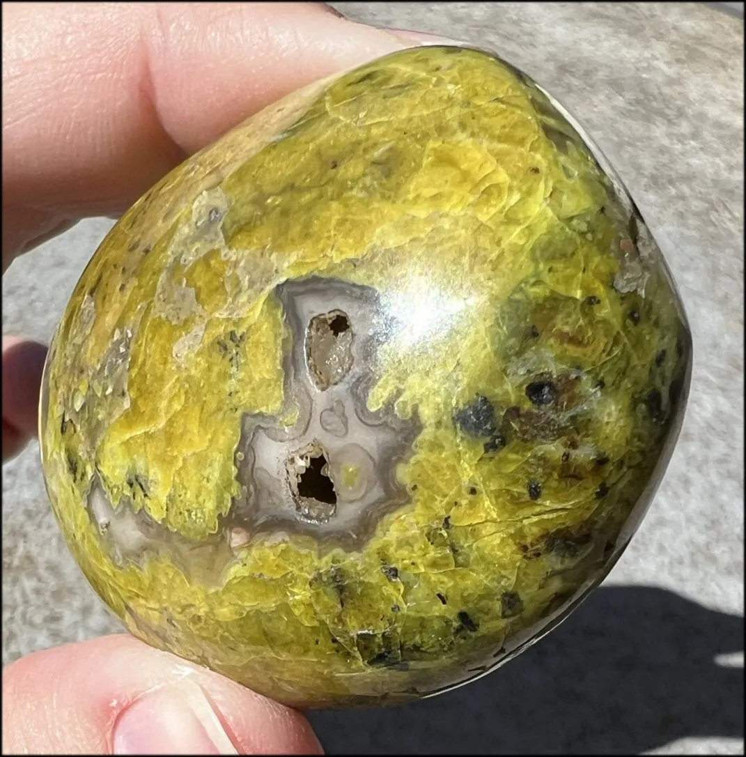 Madagascar Dark GREEN OPAL   CHALCEDONY Palm Stone with Awesome VUGS!