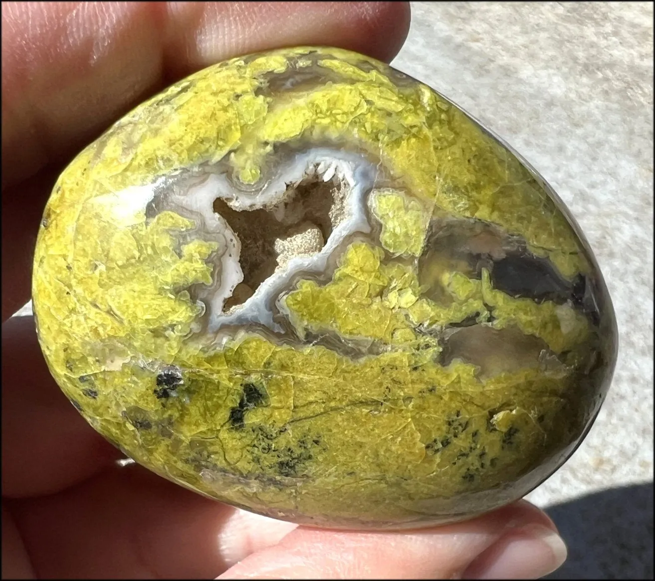 Madagascar Dark GREEN OPAL   CHALCEDONY Palm Stone with Awesome VUGS!
