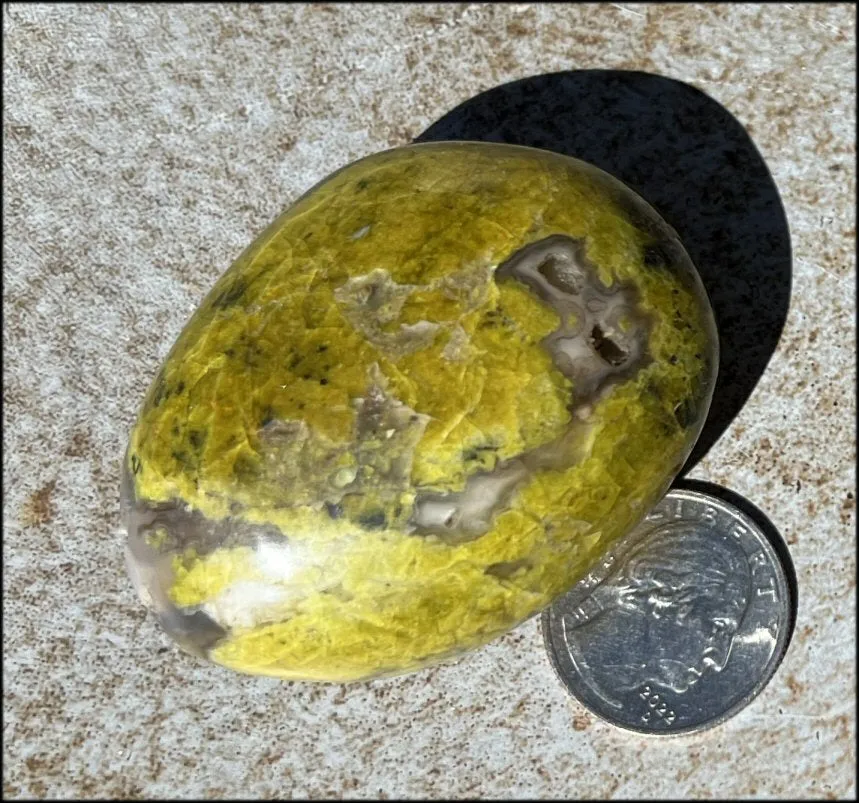Madagascar Dark GREEN OPAL   CHALCEDONY Palm Stone with Awesome VUGS!