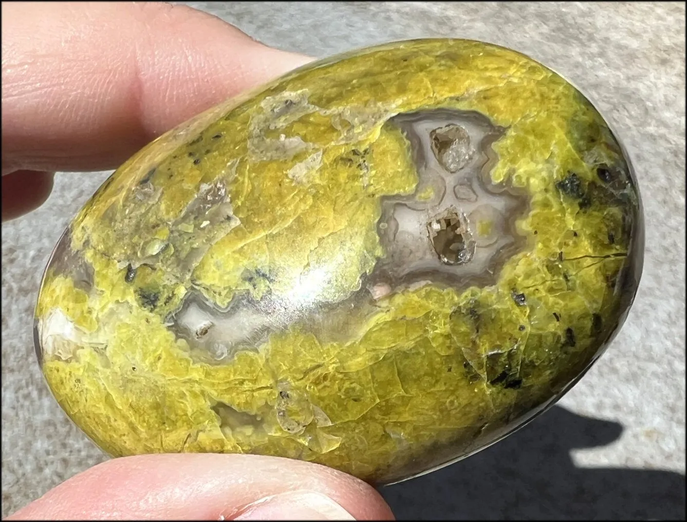 Madagascar Dark GREEN OPAL   CHALCEDONY Palm Stone with Awesome VUGS!