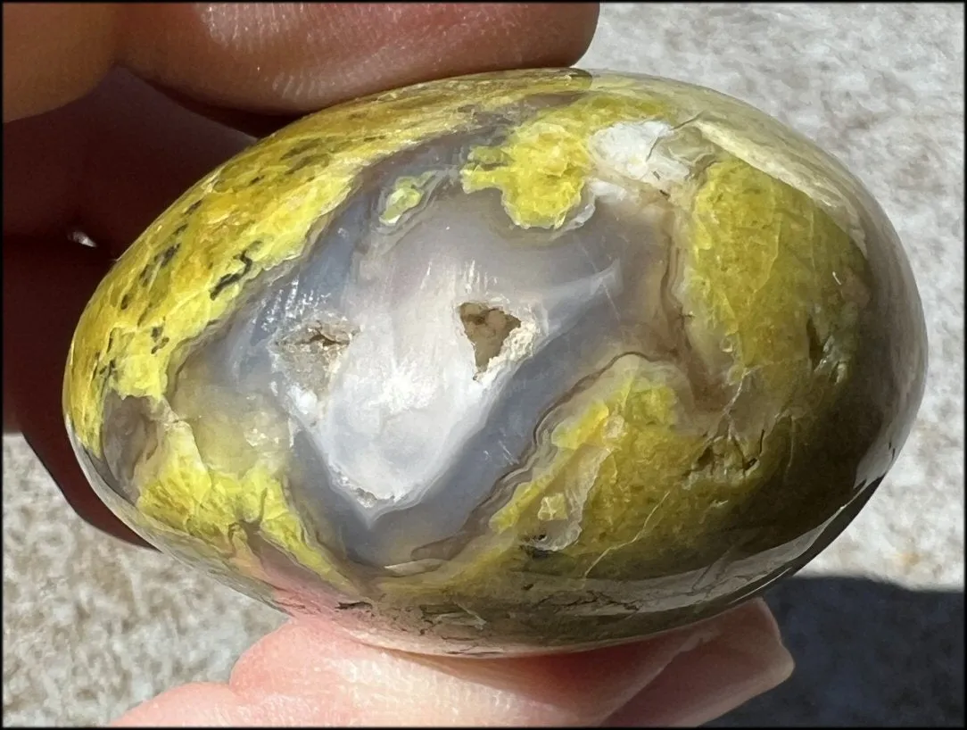 Madagascar Dark GREEN OPAL   CHALCEDONY Palm Stone with Awesome VUGS!