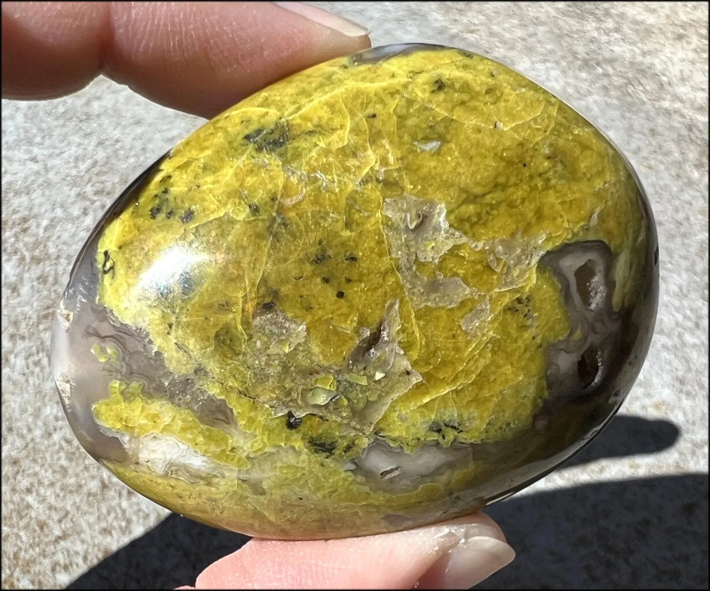 Madagascar Dark GREEN OPAL   CHALCEDONY Palm Stone with Awesome VUGS!
