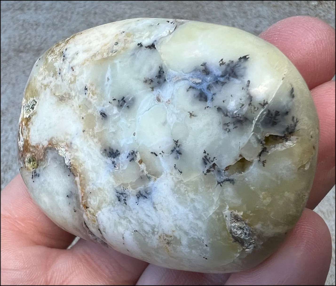 Madagascar Light GREEN OPAL Palm Stone with Lots of Dendritic inclusions
