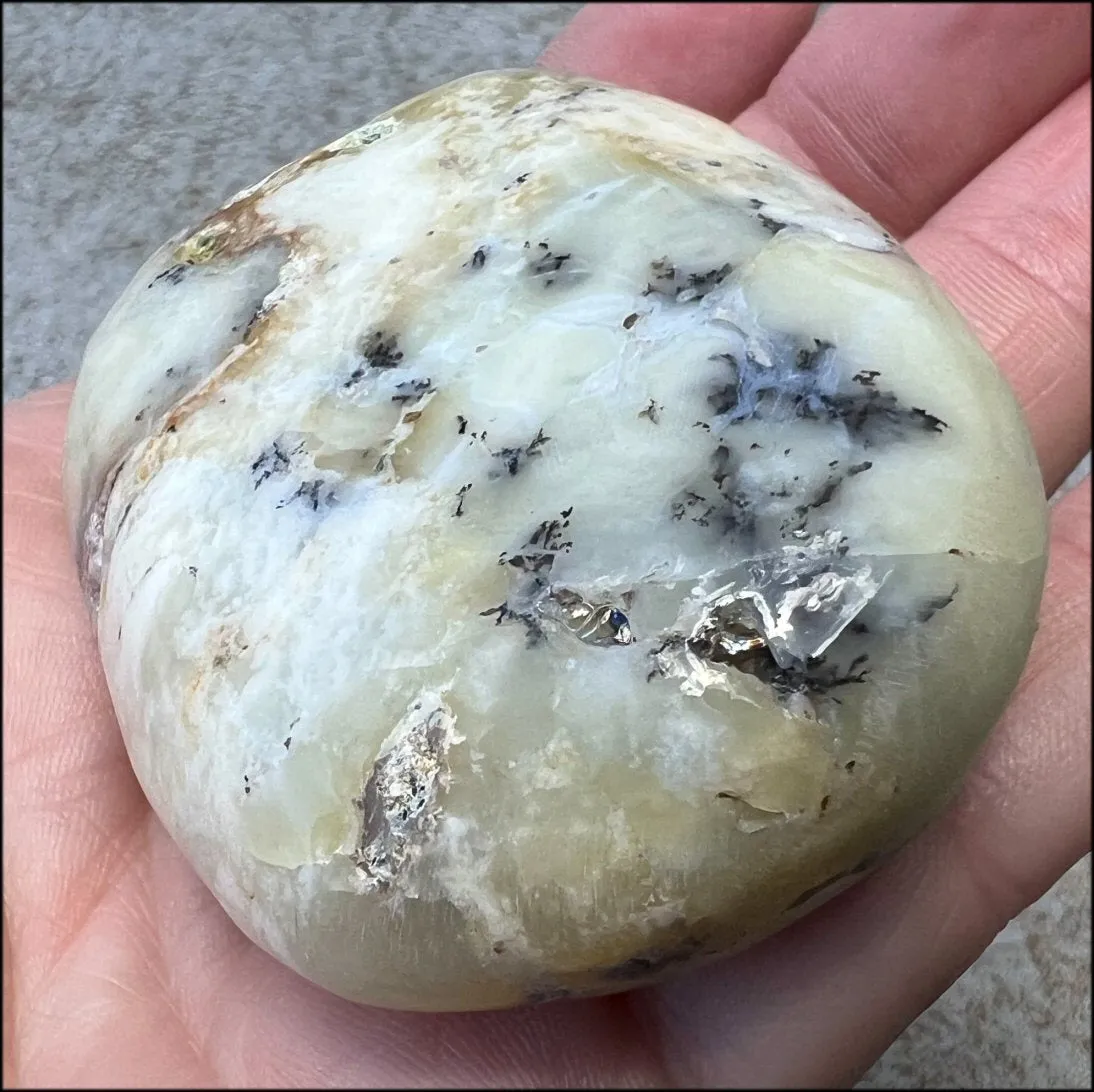 Madagascar Light GREEN OPAL Palm Stone with Lots of Dendritic inclusions