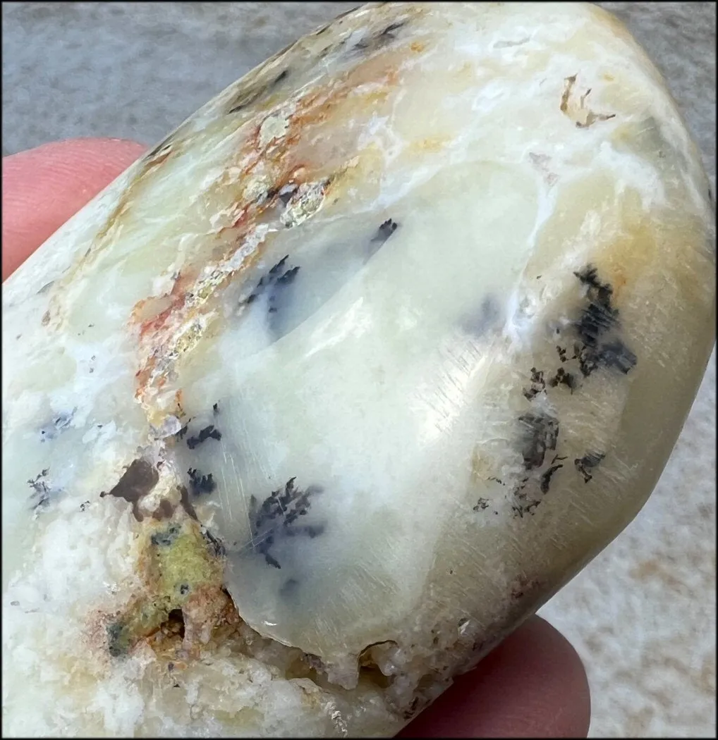Madagascar Light GREEN OPAL Palm Stone with Lots of Dendritic inclusions