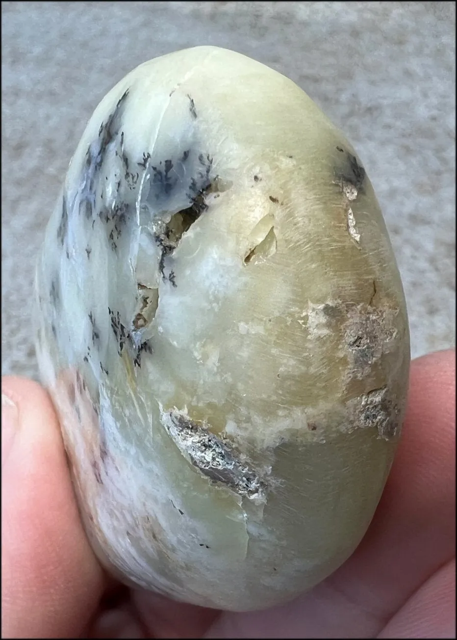 Madagascar Light GREEN OPAL Palm Stone with Lots of Dendritic inclusions