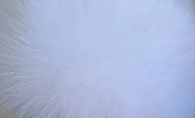 Mid Calf Height Fur Boots