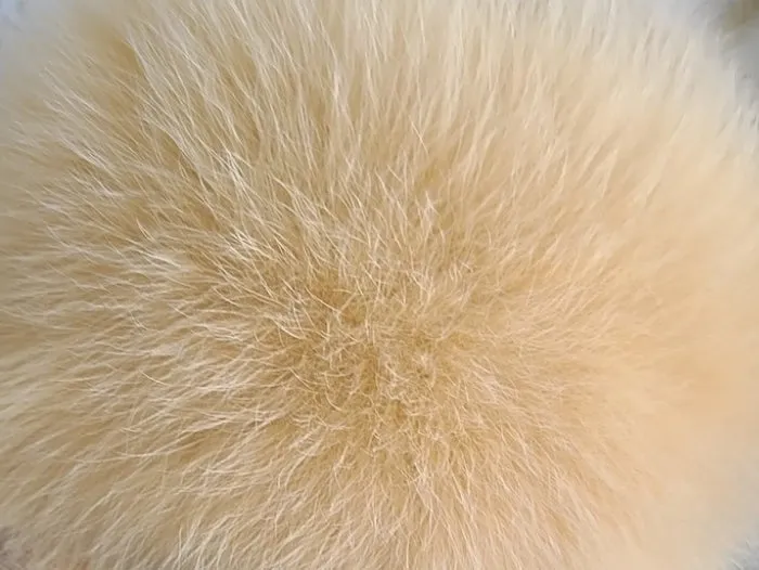 Mid Calf Height Fur Boots