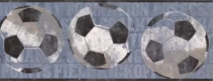 Soccer Balls Faux Distressed ZB3173BD Wallpaper Border