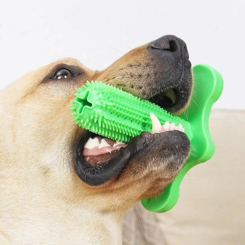 Vertical Toothbrush | Chew Toy for Dental Care & Fun