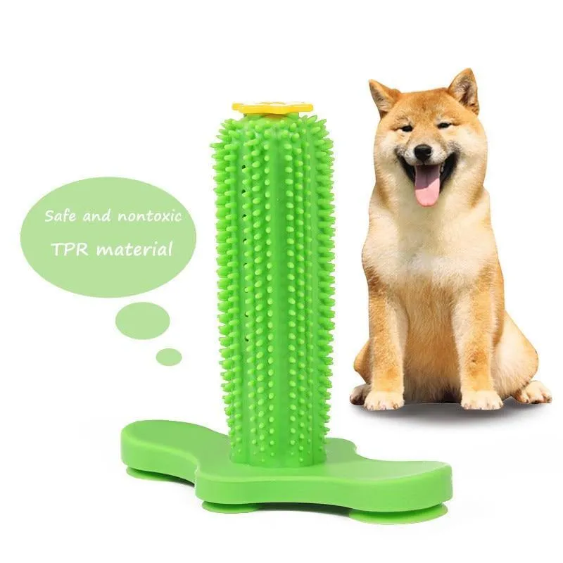 Vertical Toothbrush | Chew Toy for Dental Care & Fun