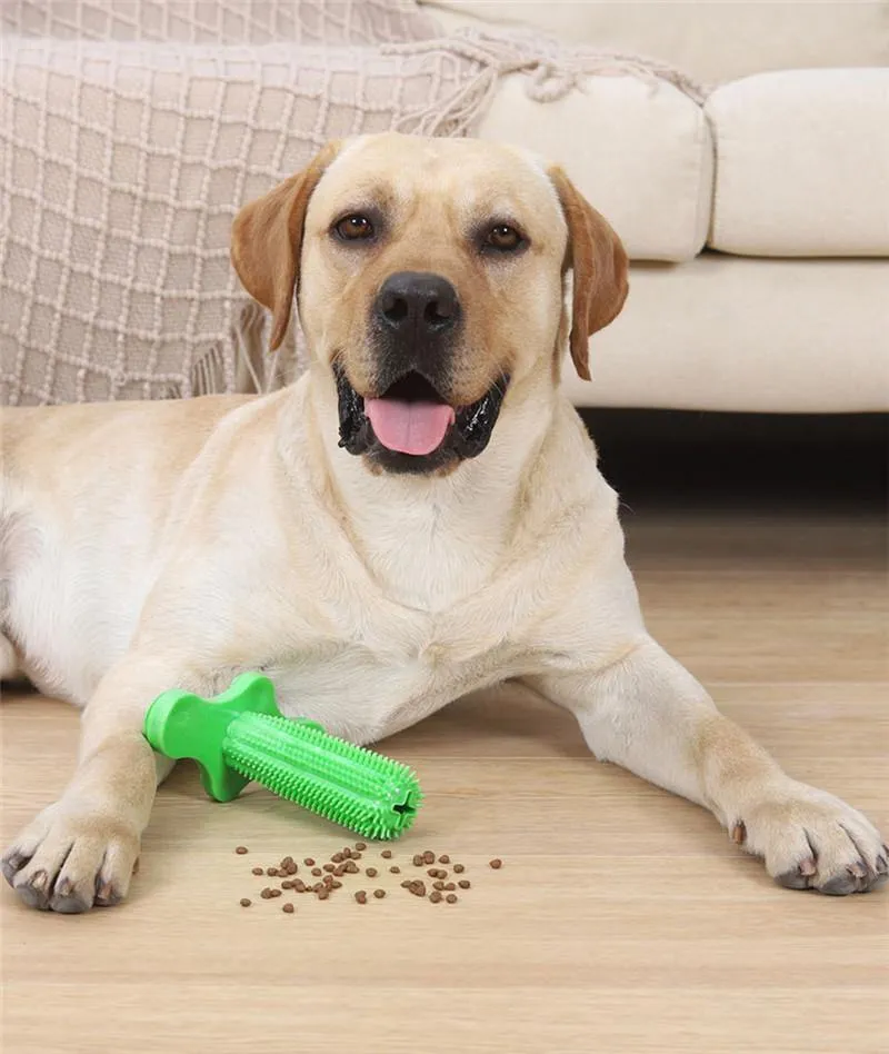 Vertical Toothbrush | Chew Toy for Dental Care & Fun