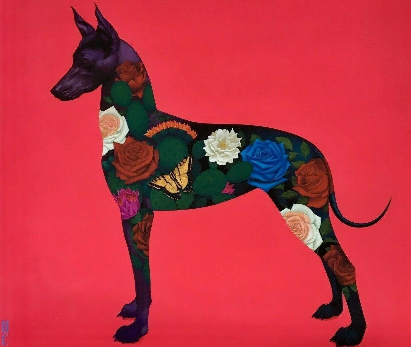 Xolo