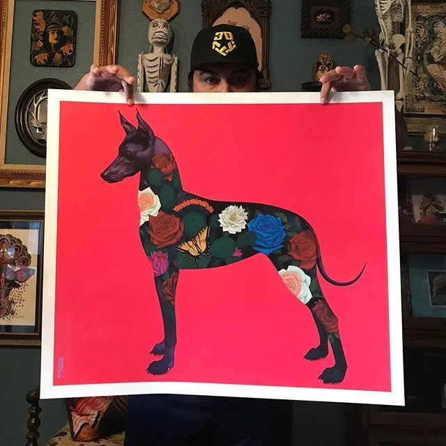Xolo