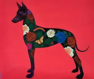 Xolo